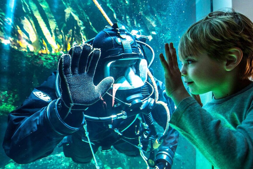 Taucher im Becken und Kind stehen sich gegenüber