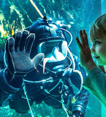 Taucher im Aquarium im Multimar Wattforum