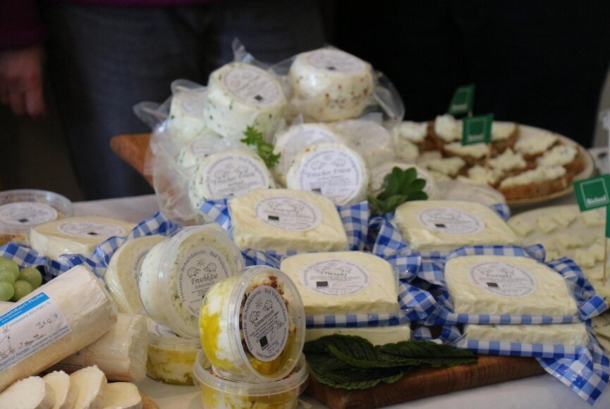 Auswahl verschiedener Käsesorten der Käserei