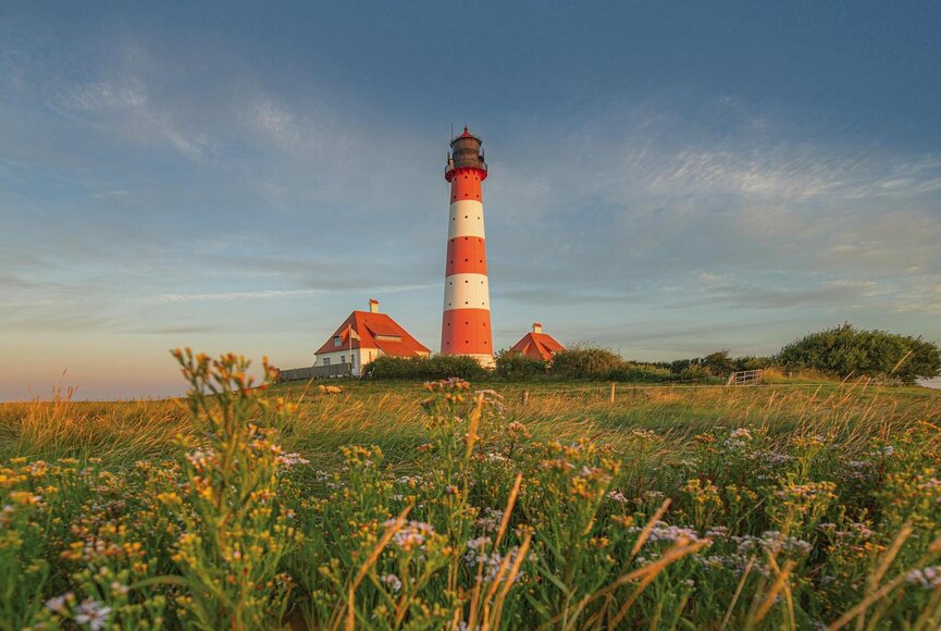 Halbinsel Eiderstedt entdecken – Urlaub an der Nordsee