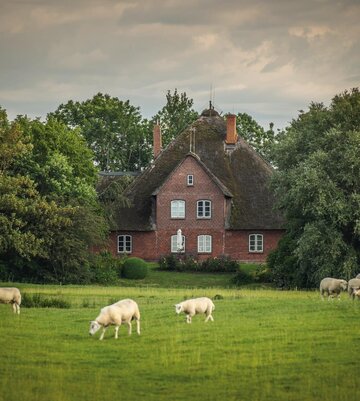 Haubarg in Tetenbüll
