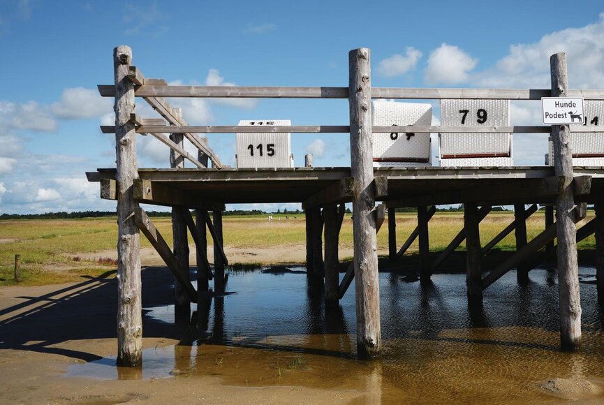 Strandkorbpodest am Hundebereich in Böhl