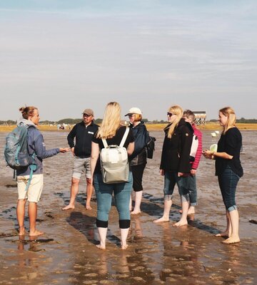 Gruppe bei einer Wattwanderung