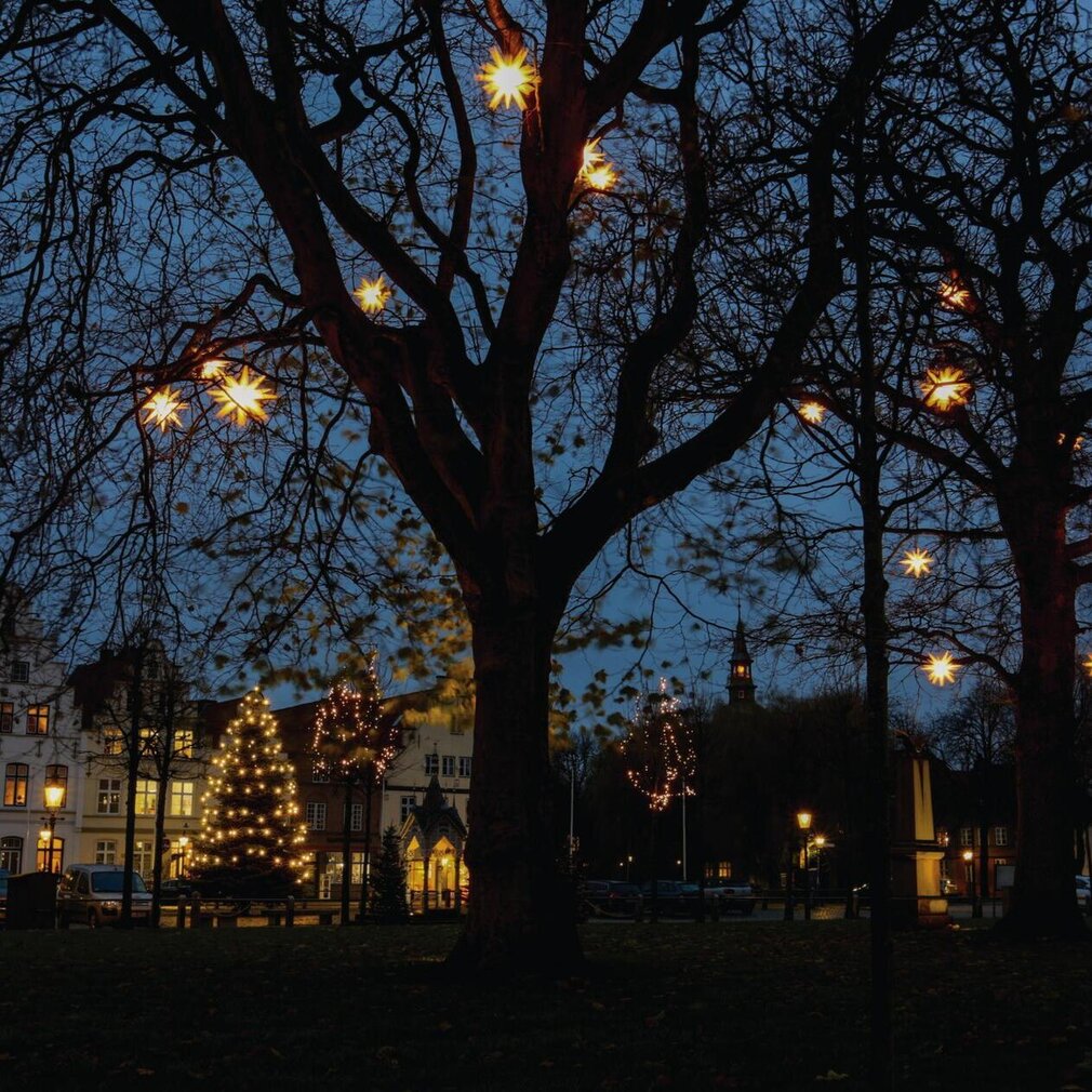 Weihnachtssterne in den Ästen der Bäume am Marktplatz