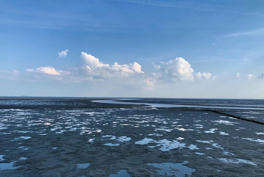 Wattlandschaft in Vollerwiek