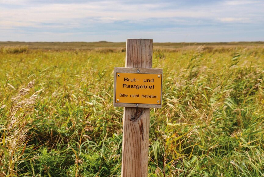 gelbes Hinweisschild für Brut- und Rastgebiete, die nicht betreten werden dürfen