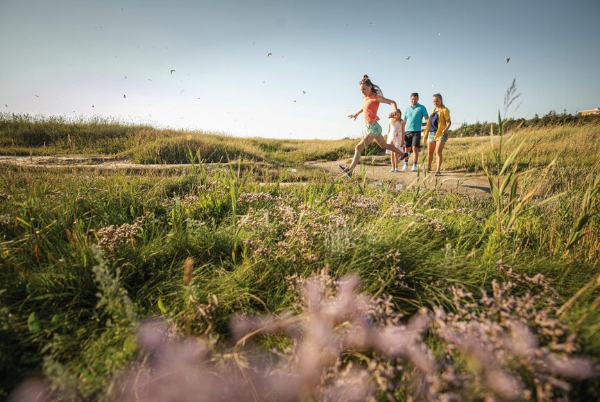 Familie spaziert in den Salzwiesen