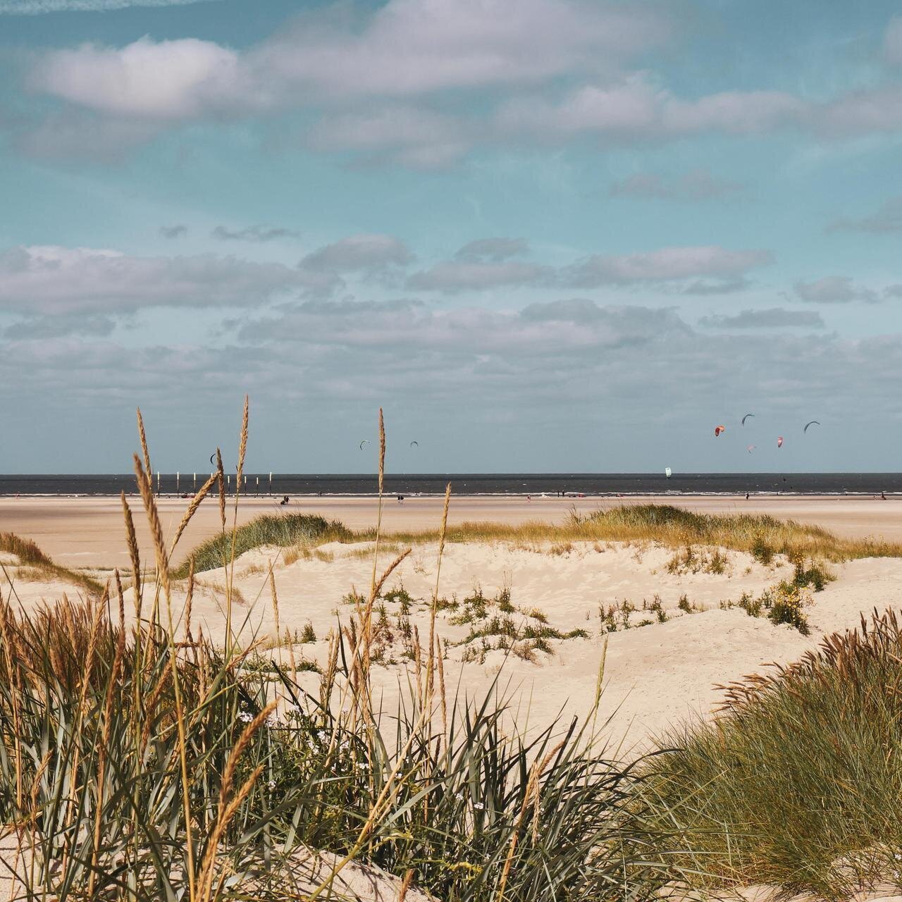 Kiter vor der Dünenlandschaft am Ordinger Strand