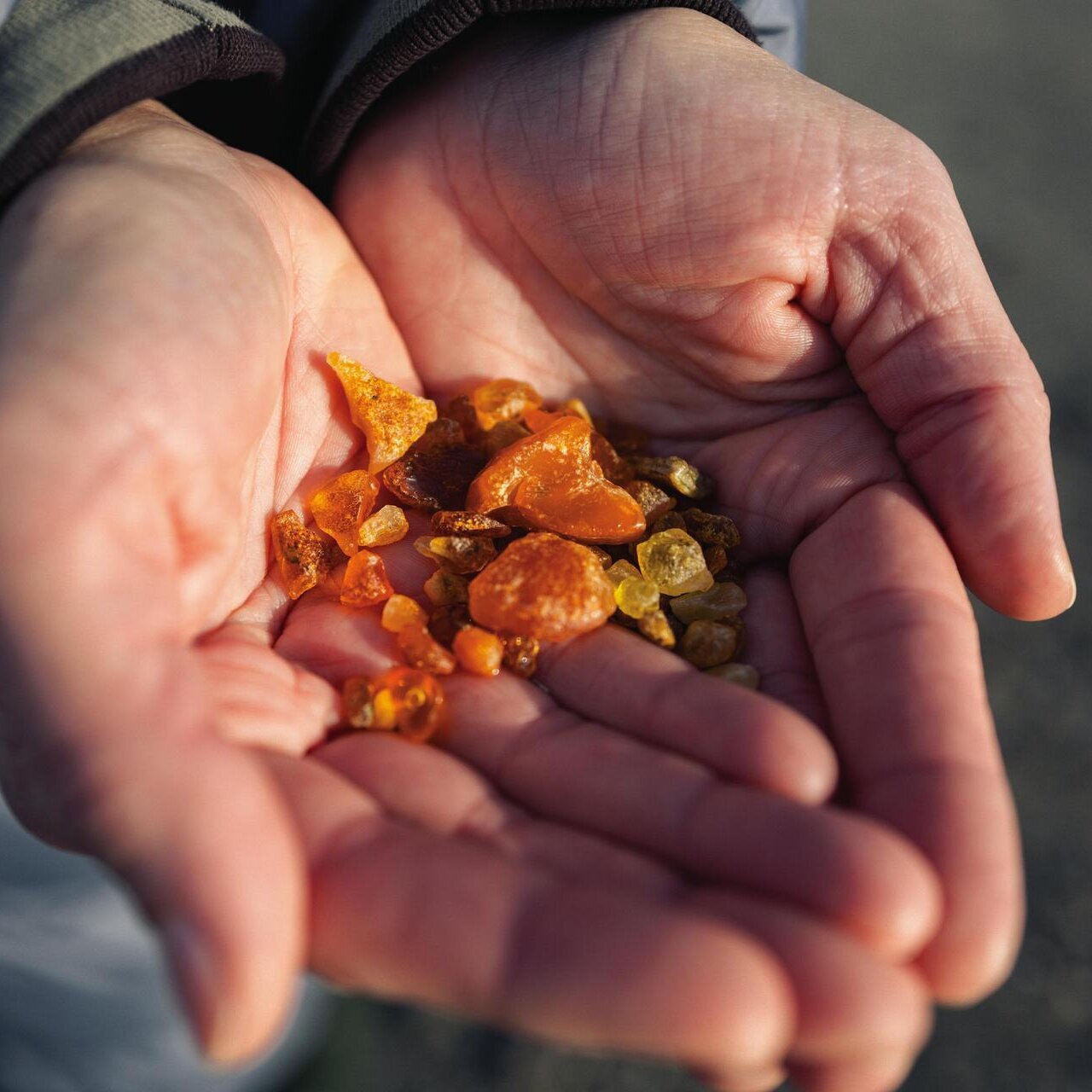 Hände, in denen Bernsteine liegen