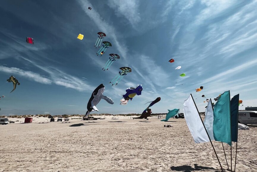 große Drachen in verschiedenen Formen am Strand bei Sonnenschein