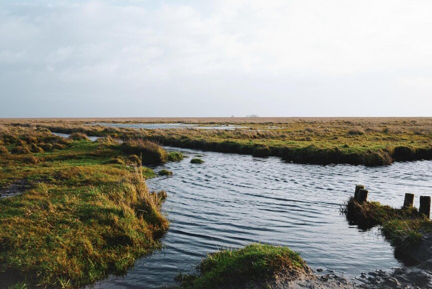 Priel im Ortsteil Böhl