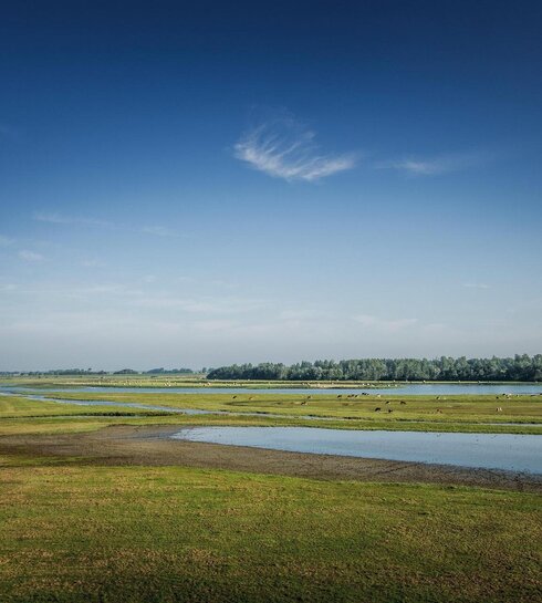 weiter Blick in die grüne Landschaft vom Katinger Watt