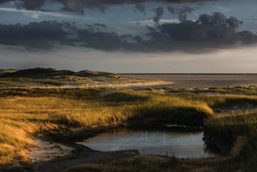 Dünenlandschaft bei Abendsonne