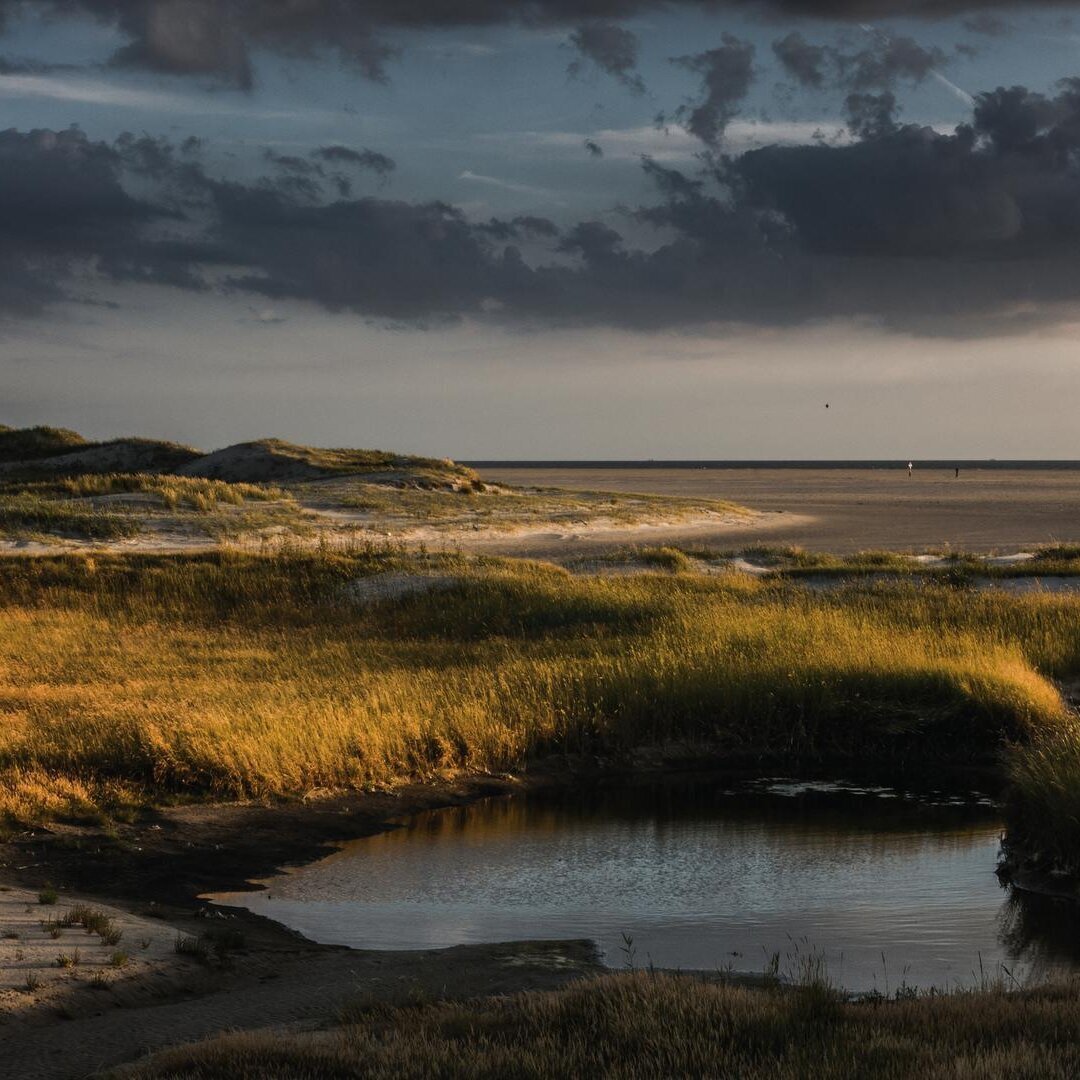 Dünenlandschaft im Bad 