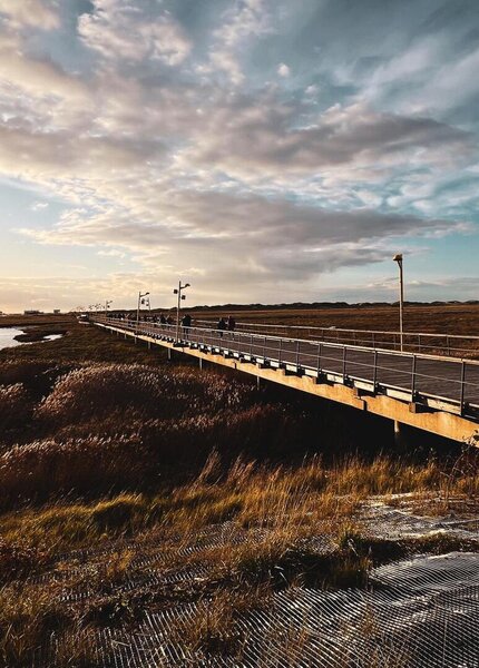 Webcambild der Seebrücke im Sonnenuntergang