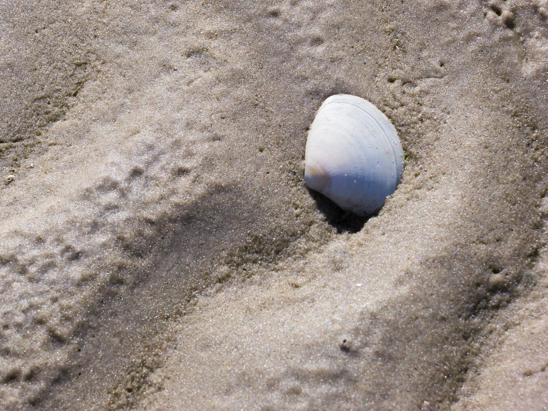 Wattboden in St. Peter-Ording