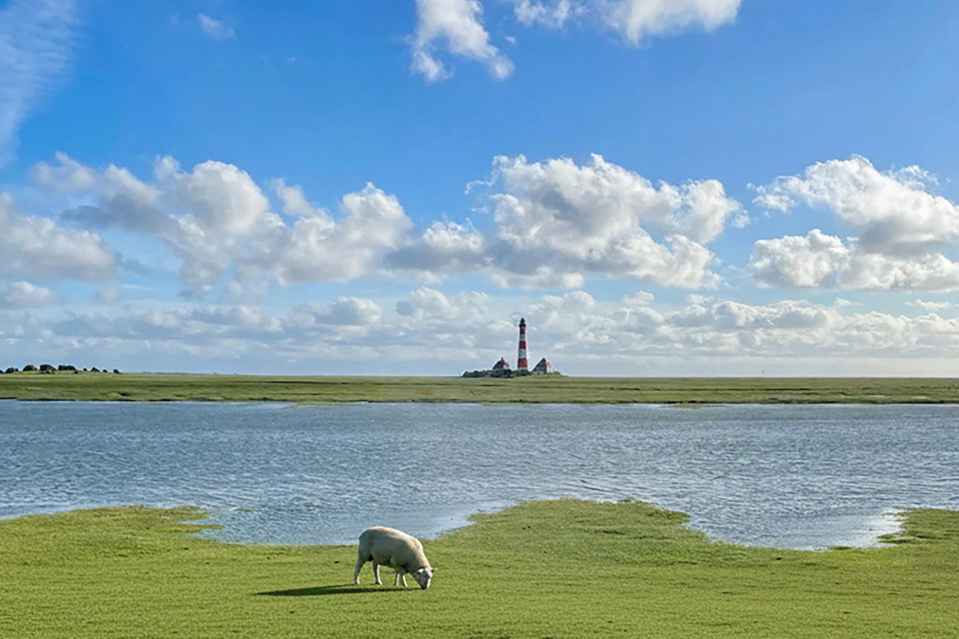 Westerhever Leuchtturm auf Eiderstedt