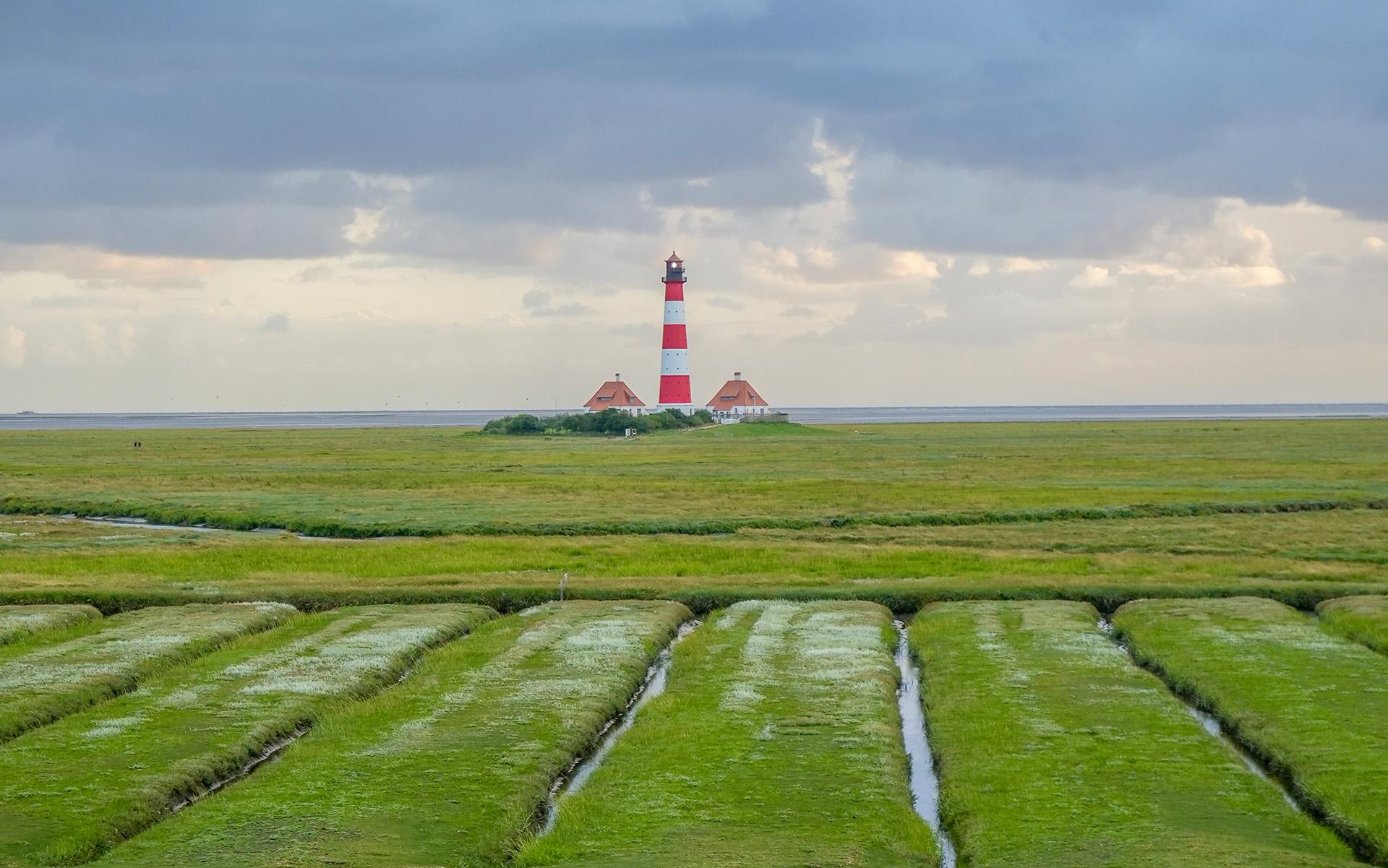 Westerhever Leuchtturm in den Salzwiesen